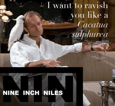 tumblr_l3gsz7zIhD1qbtx8yo1_400